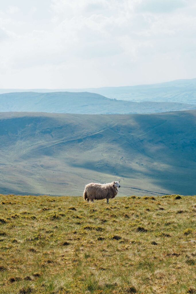 Pen y Fan 2