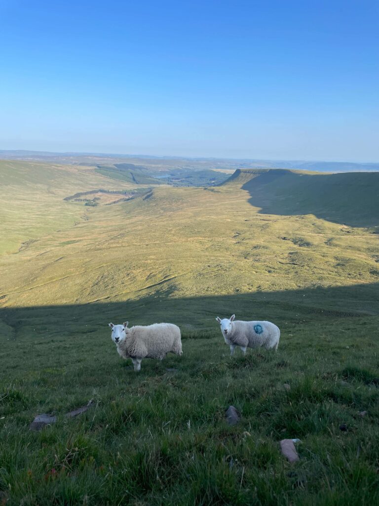 Pen y Fan 7