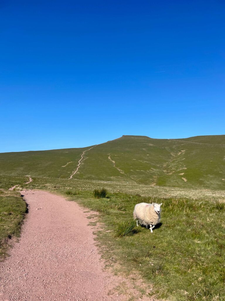 Pen y Fan 9